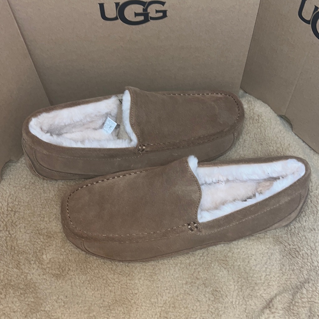Ugg Ascot